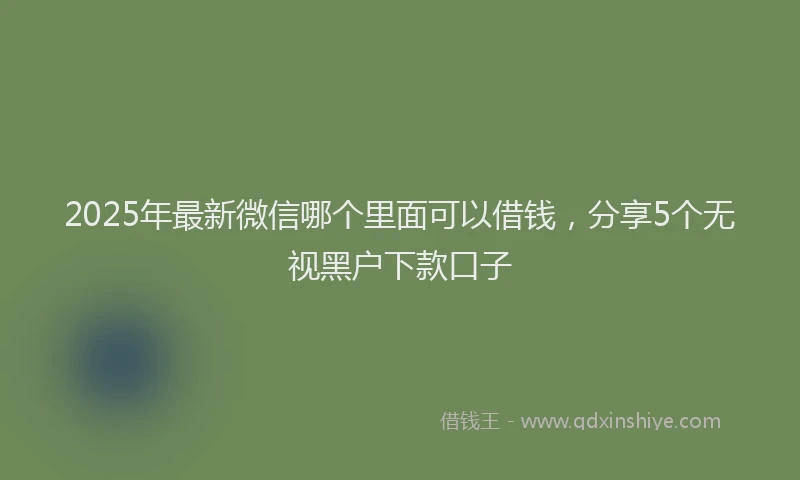 2025年最新微信哪个里面可以借钱，分享5个无视黑户下款口子