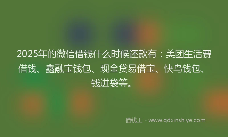 2025年的微信借钱什么时候还款有：美团生活费借钱、鑫融宝钱包、现金贷易借宝、快鸟钱包、钱进袋等。