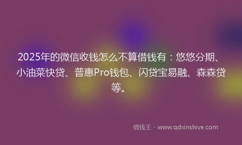 2025年的微信收钱怎么不算借钱有：悠悠分期、小油菜快贷、普惠Pro钱包、闪贷宝易融、森森贷等。