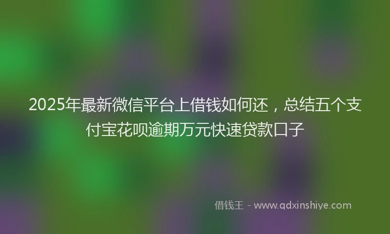 2025年最新微信平台上借钱如何还，总结五个支付宝花呗逾期万元快速贷款口子