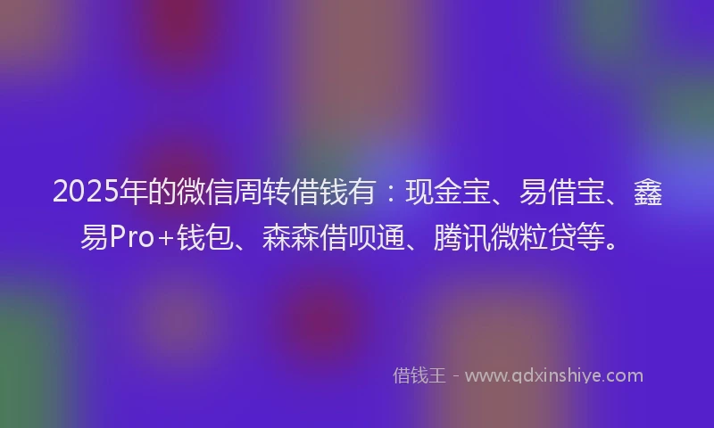 2025年的微信周转借钱有：现金宝、易借宝、鑫易Pro+钱包、森森借呗通、腾讯微粒贷等。