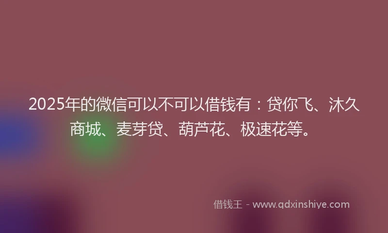2025年的微信可以不可以借钱有：贷你飞、沐久商城、麦芽贷、葫芦花、极速花等。