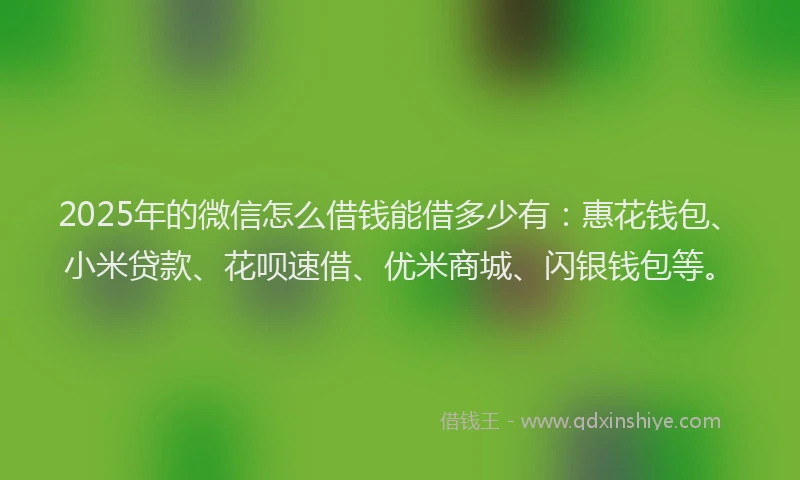 2025年的微信怎么借钱能借多少有：惠花钱包、小米贷款、花呗速借、优米商城、闪银钱包等。