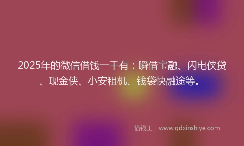 2025年的微信借钱一千有：瞬借宝融、闪电侠贷、现金侠、小安租机、钱袋快融途等。