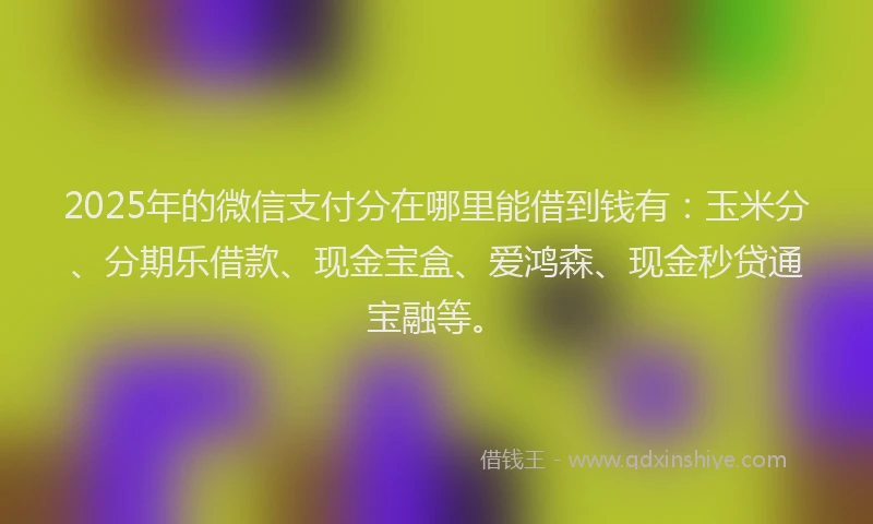 2025年的微信支付分在哪里能借到钱有：玉米分、分期乐借款、现金宝盒、爱鸿森、现金秒贷通宝融等。