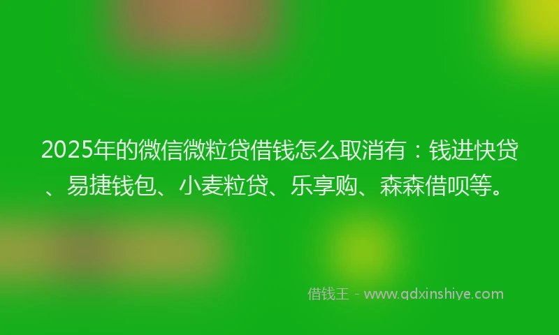2025年的微信微粒贷借钱怎么取消有：钱进快贷、易捷钱包、小麦粒贷、乐享购、森森借呗等。