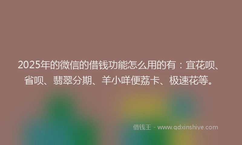 2025年的微信的借钱功能怎么用的有：宜花呗、省呗、翡翠分期、羊小咩便荔卡、极速花等。