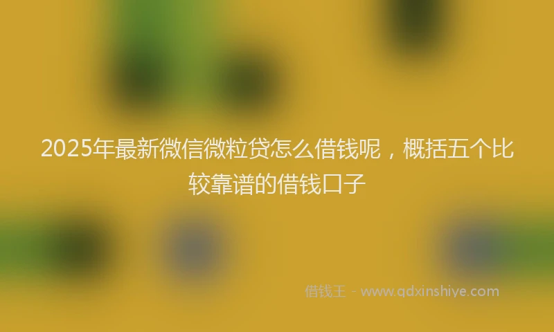 2025年最新微信微粒贷怎么借钱呢，概括五个比较靠谱的借钱口子