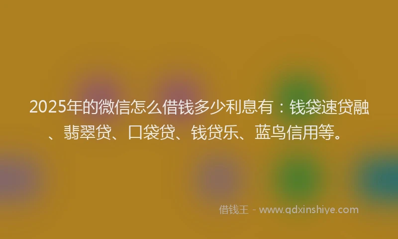 2025年的微信怎么借钱多少利息有：钱袋速贷融、翡翠贷、口袋贷、钱贷乐、蓝鸟信用等。