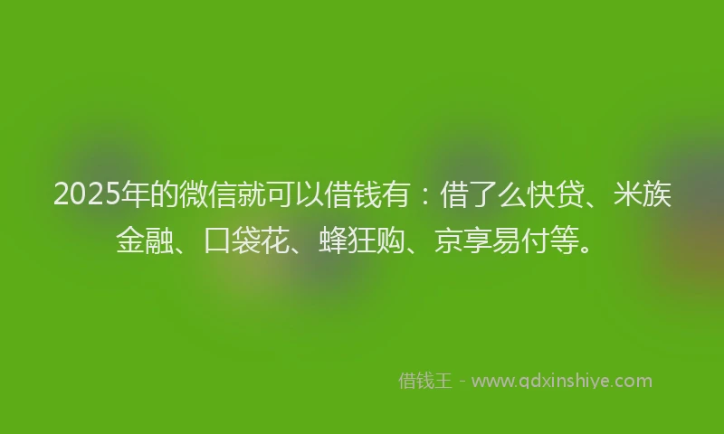 2025年的微信就可以借钱有：借了么快贷、米族金融、口袋花、蜂狂购、京享易付等。