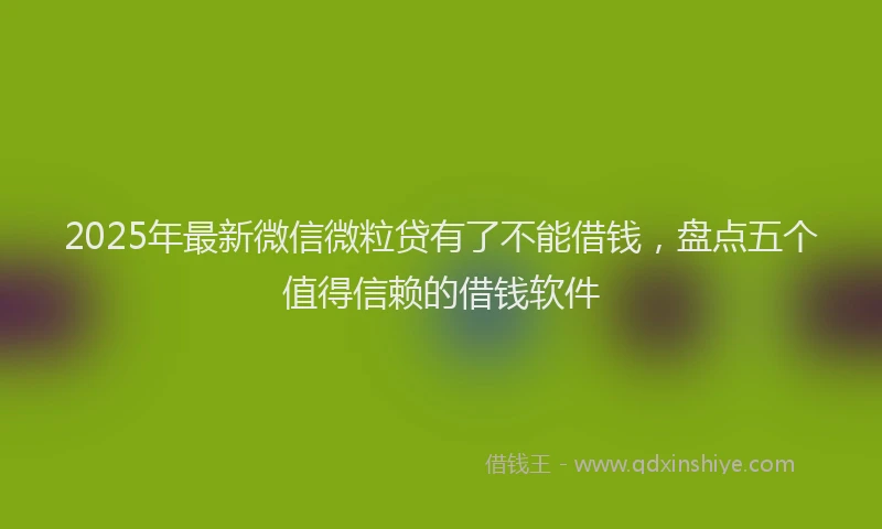 2025年最新微信微粒贷有了不能借钱，盘点五个值得信赖的借钱软件