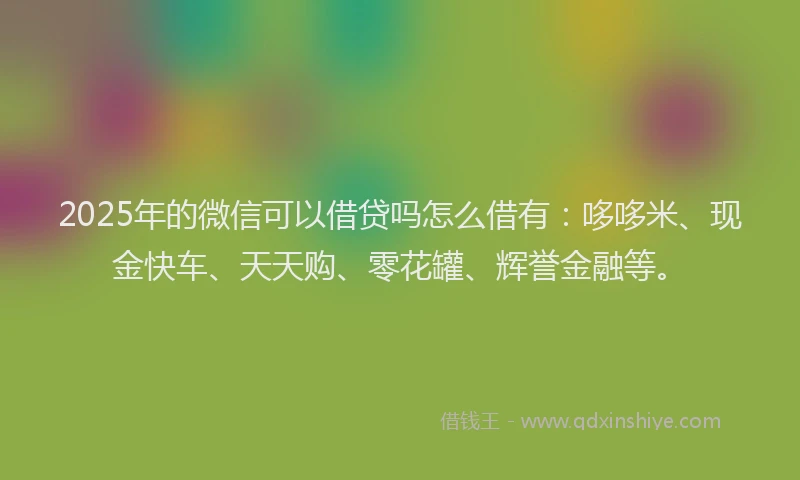 2025年的微信可以借贷吗怎么借有：哆哆米、现金快车、天天购、零花罐、辉誉金融等。