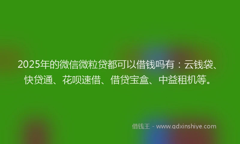2025年的微信微粒贷都可以借钱吗有：云钱袋、快贷通、花呗速借、借贷宝盒、中益租机等。