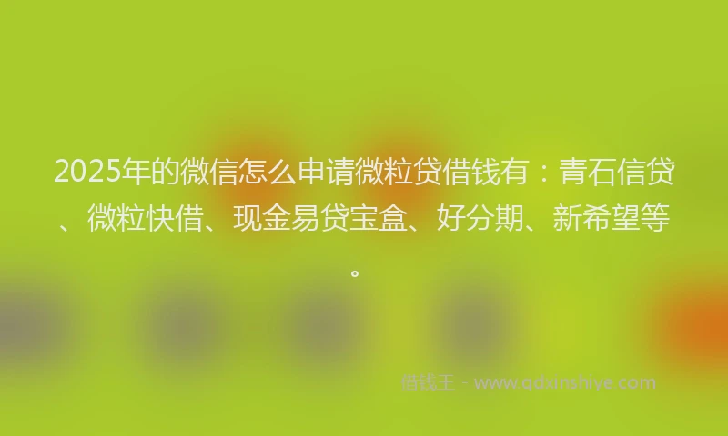 2025年的微信怎么申请微粒贷借钱有：青石信贷、微粒快借、现金易贷宝盒、好分期、新希望等。