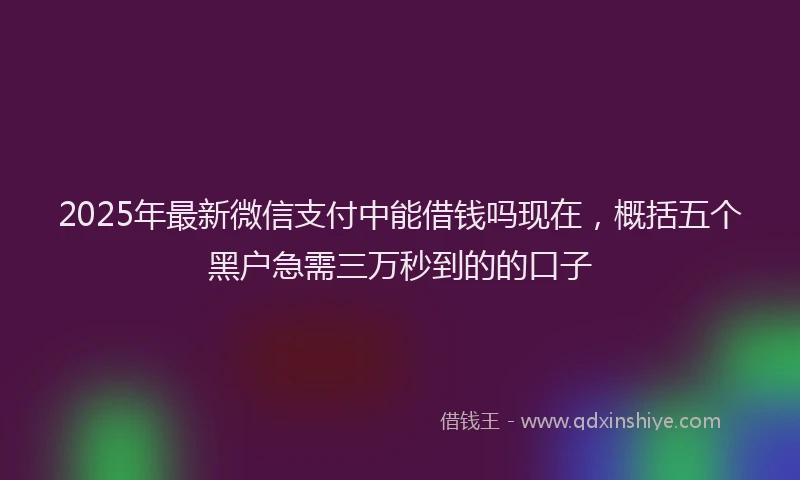 2025年最新微信支付中能借钱吗现在，概括五个黑户急需三万秒到的的口子