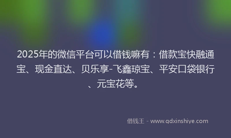 2025年的微信平台可以借钱嘛有：借款宝快融通宝、现金直达、贝乐享-飞鑫琼宝、平安口袋银行、元宝花等。