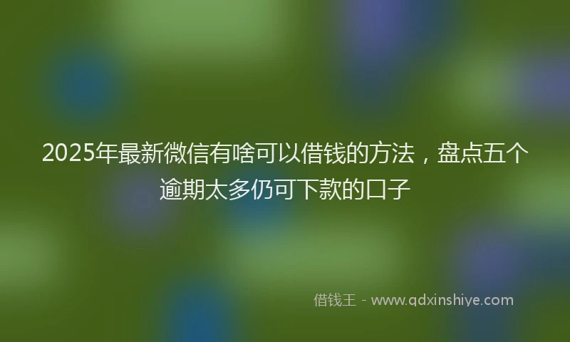 2025年最新微信有啥可以借钱的方法，盘点五个逾期太多仍可下款的口子