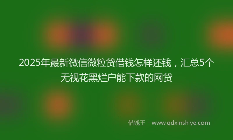 2025年最新微信微粒贷借钱怎样还钱，汇总5个无视花黑烂户能下款的网贷