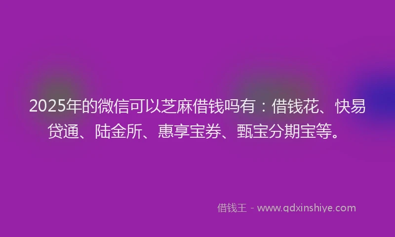 2025年的微信可以芝麻借钱吗有：借钱花、快易贷通、陆金所、惠享宝券、甄宝分期宝等。