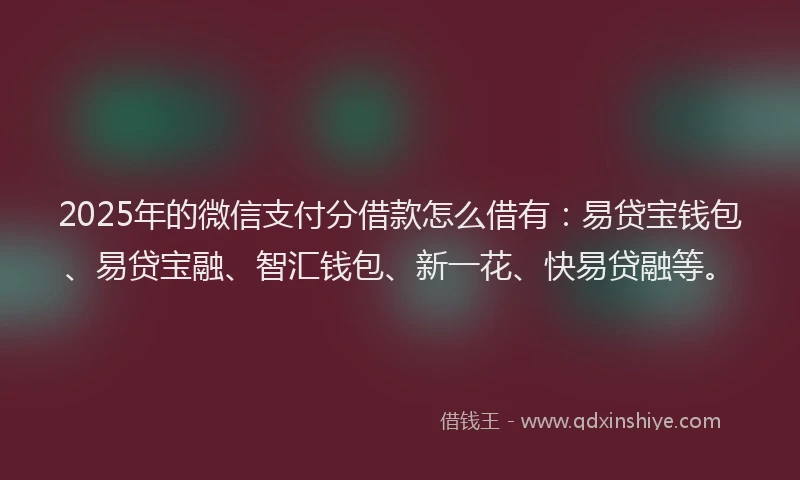 2025年的微信支付分借款怎么借有：易贷宝钱包、易贷宝融、智汇钱包、新一花、快易贷融等。
