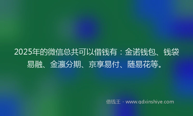 2025年的微信总共可以借钱有：金诺钱包、钱袋易融、金瀛分期、京享易付、随易花等。