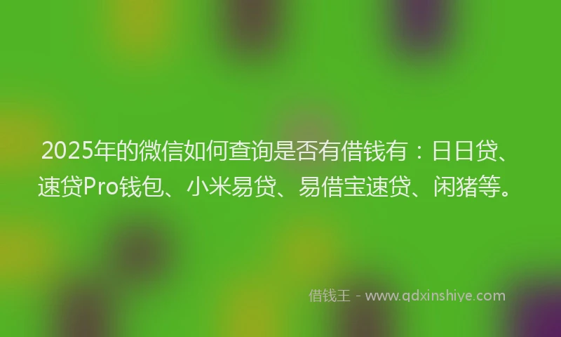 2025年的微信如何查询是否有借钱有：日日贷、速贷Pro钱包、小米易贷、易借宝速贷、闲猪等。