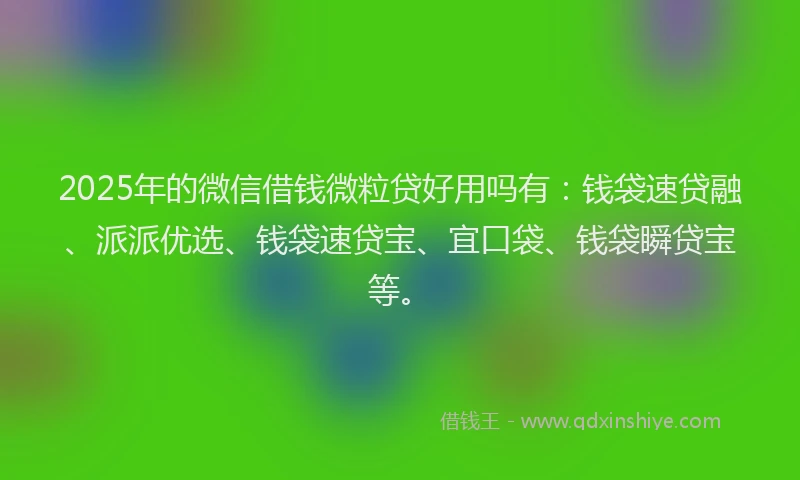 2025年的微信借钱微粒贷好用吗有：钱袋速贷融、派派优选、钱袋速贷宝、宜口袋、钱袋瞬贷宝等。