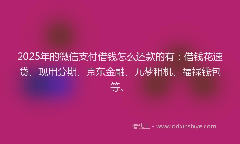 2025年的微信支付借钱怎么还款的有：借钱花速贷、现用分期、京东金融、九梦租机、福禄钱包等。