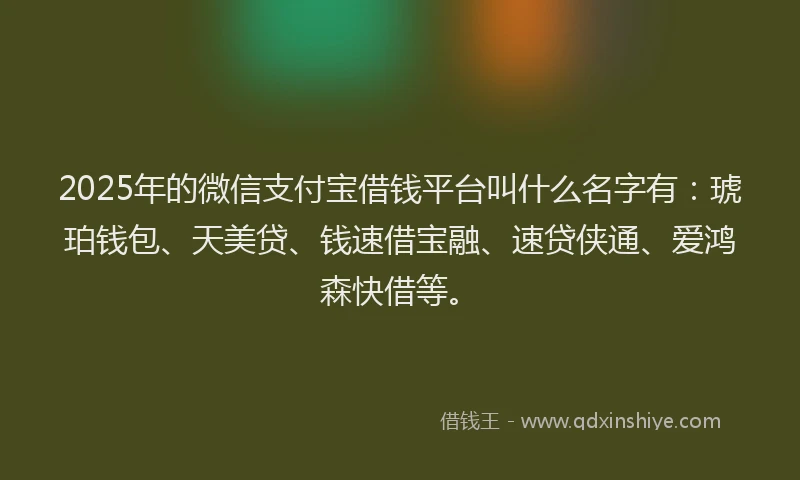 2025年的微信支付宝借钱平台叫什么名字有：琥珀钱包、天美贷、钱速借宝融、速贷侠通、爱鸿森快借等。