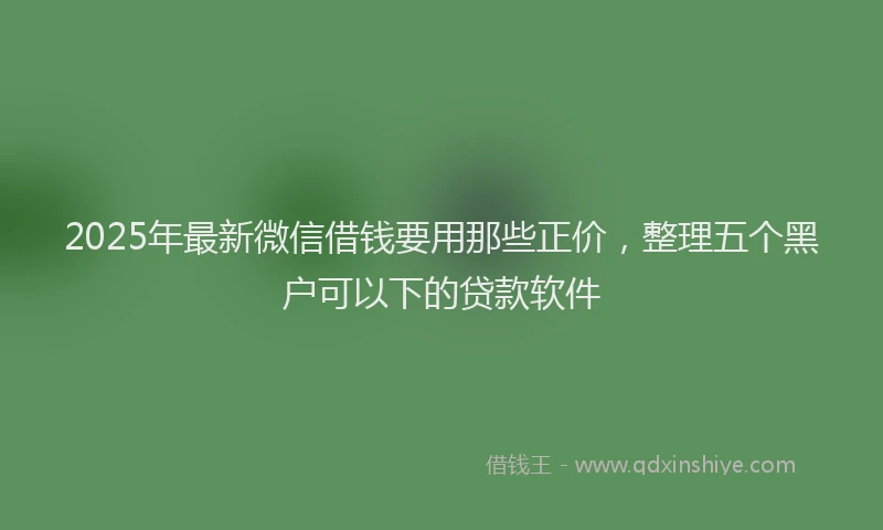 2025年最新微信借钱要用那些正价，整理五个黑户可以下的贷款软件