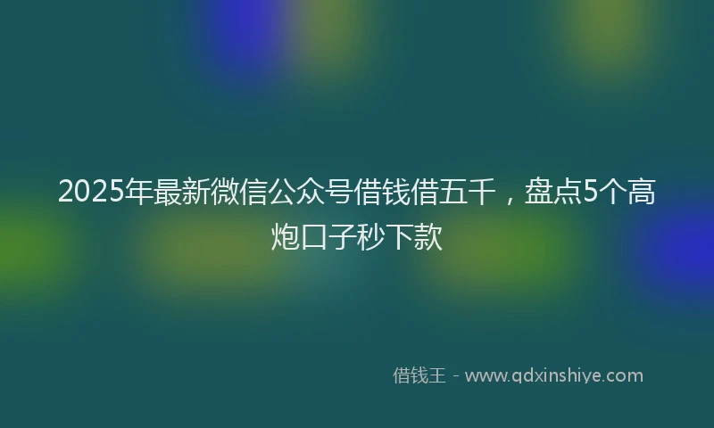 2025年最新微信公众号借钱借五千，盘点5个高炮口子秒下款