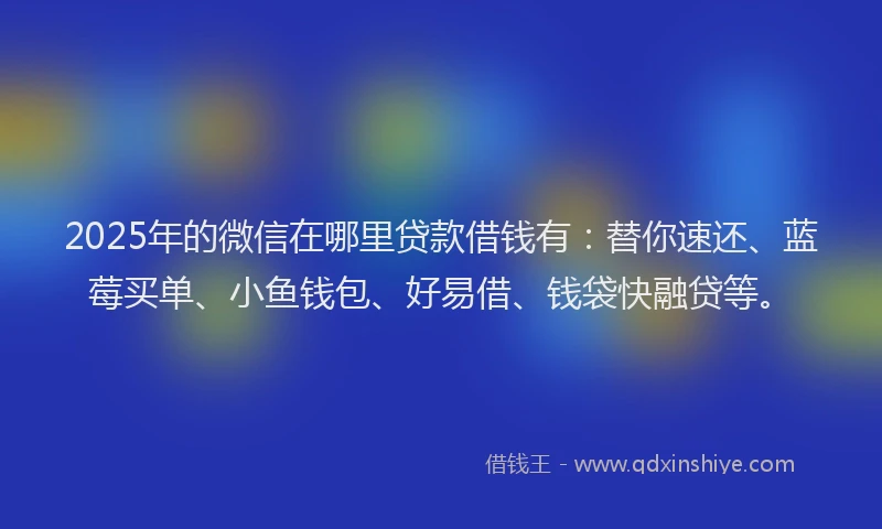 2025年的微信在哪里贷款借钱有：替你速还、蓝莓买单、小鱼钱包、好易借、钱袋快融贷等。