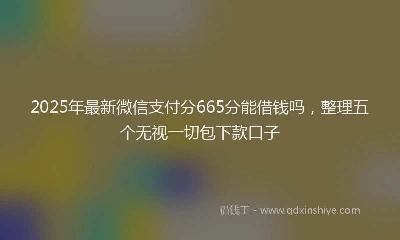 2025年最新微信支付分665分能借钱吗，整理五个无视一切包下款口子