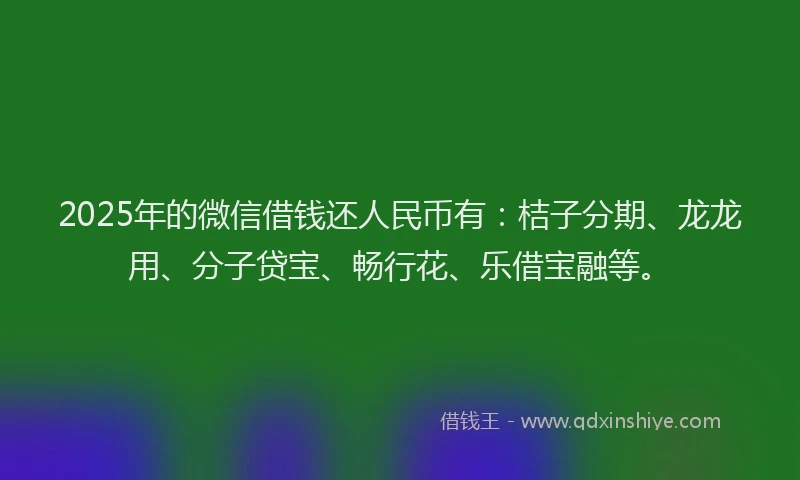 2025年的微信借钱还人民币有：桔子分期、龙龙用、分子贷宝、畅行花、乐借宝融等。
