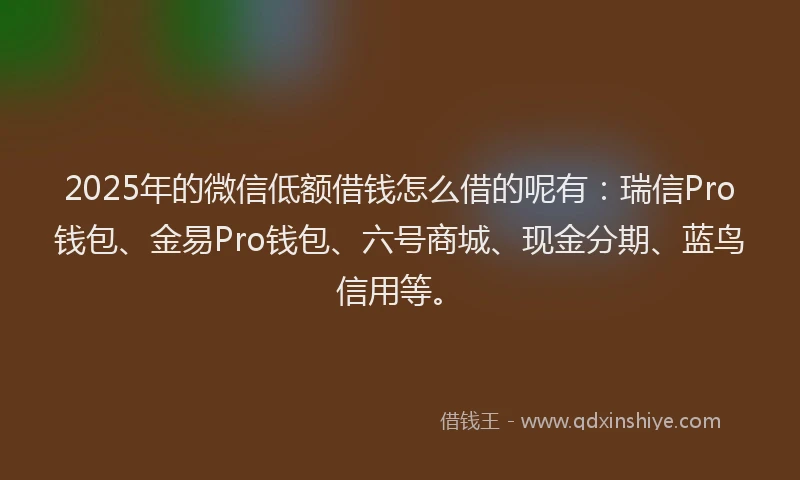 2025年的微信低额借钱怎么借的呢有：瑞信Pro钱包、金易Pro钱包、六号商城、现金分期、蓝鸟信用等。