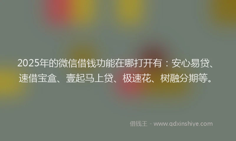 2025年的微信借钱功能在哪打开有：安心易贷、速借宝盒、壹起马上贷、极速花、树融分期等。