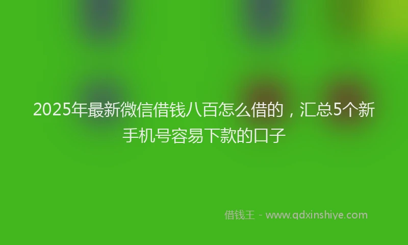 2025年最新微信借钱八百怎么借的，汇总5个新手机号容易下款的口子