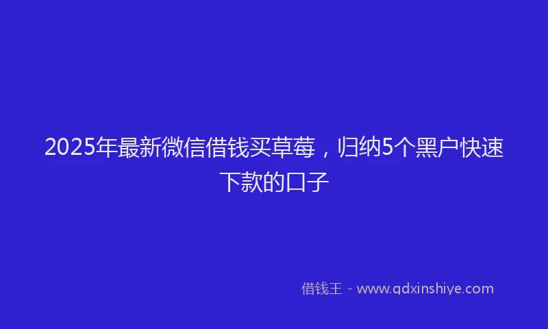 2025年最新微信借钱买草莓，归纳5个黑户快速下款的口子