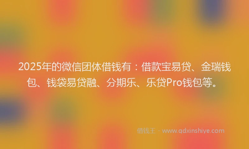 2025年的微信团体借钱有：借款宝易贷、金瑞钱包、钱袋易贷融、分期乐、乐贷Pro钱包等。