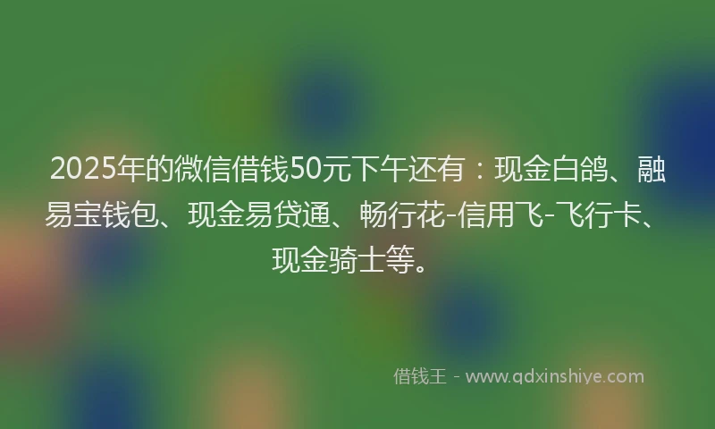 2025年的微信借钱50元下午还有：现金白鸽、融易宝钱包、现金易贷通、畅行花-信用飞-飞行卡、现金骑士等。
