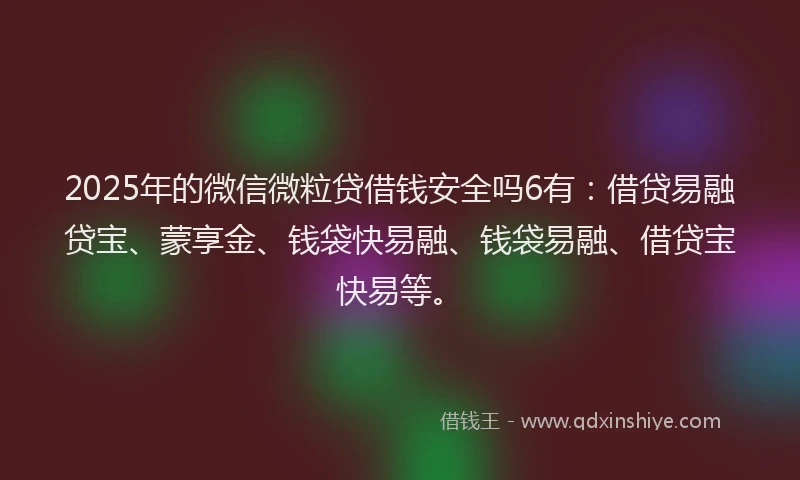 2025年的微信微粒贷借钱安全吗6有：借贷易融贷宝、蒙享金、钱袋快易融、钱袋易融、借贷宝快易等。