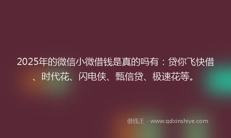 2025年的微信小微借钱是真的吗有：贷你飞快借、时代花、闪电侠、甄信贷、极速花等。