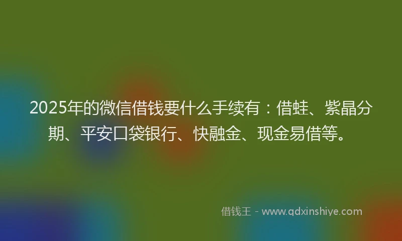 2025年的微信借钱要什么手续有：借蛙、紫晶分期、平安口袋银行、快融金、现金易借等。