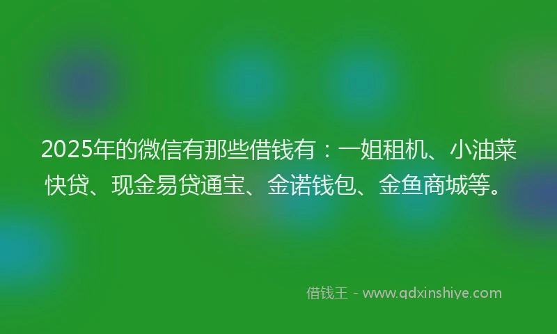 2025年的微信有那些借钱有：一姐租机、小油菜快贷、现金易贷通宝、金诺钱包、金鱼商城等。