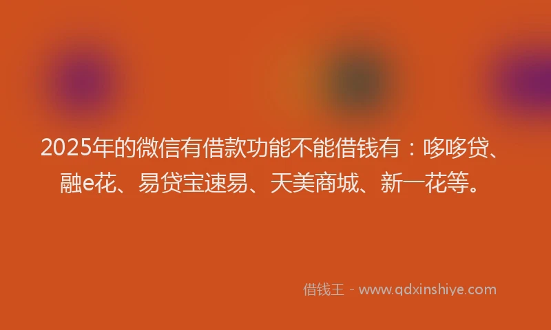 2025年的微信有借款功能不能借钱有：哆哆贷、融e花、易贷宝速易、天美商城、新一花等。