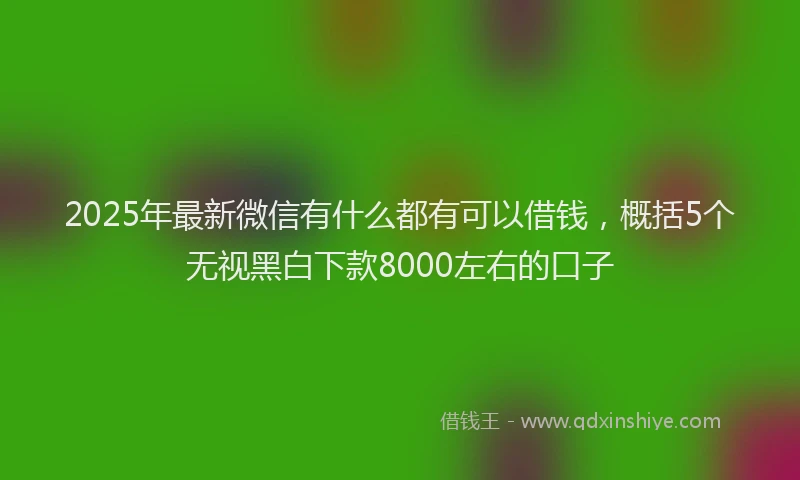 2025年最新微信有什么都有可以借钱，概括5个无视黑白下款8000左右的口子