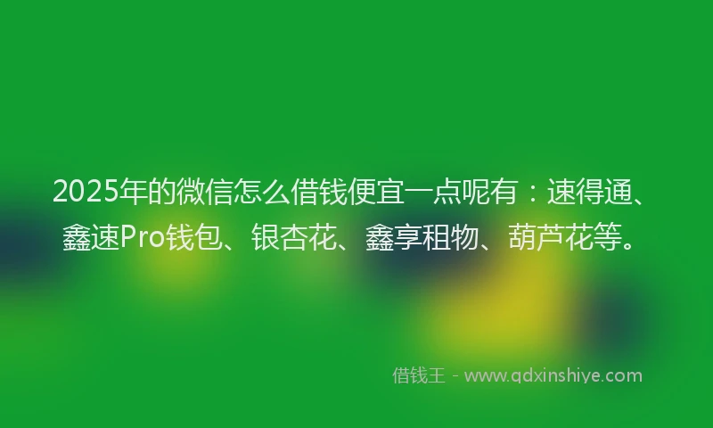 2025年的微信怎么借钱便宜一点呢有：速得通、鑫速Pro钱包、银杏花、鑫享租物、葫芦花等。