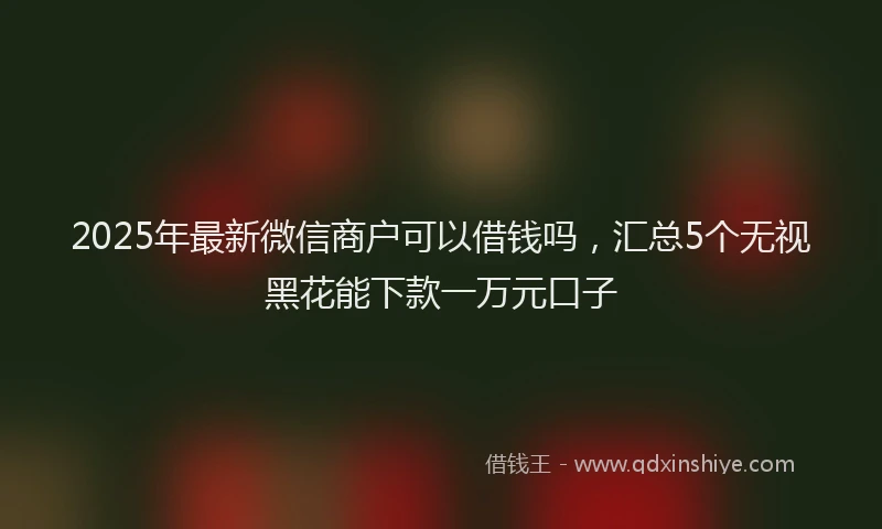 2025年最新微信商户可以借钱吗，汇总5个无视黑花能下款一万元口子