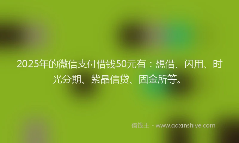 2025年的微信支付借钱50元有：想借、闪用、时光分期、紫晶信贷、固金所等。