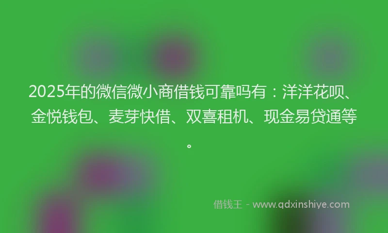2025年的微信微小商借钱可靠吗有：洋洋花呗、金悦钱包、麦芽快借、双喜租机、现金易贷通等。